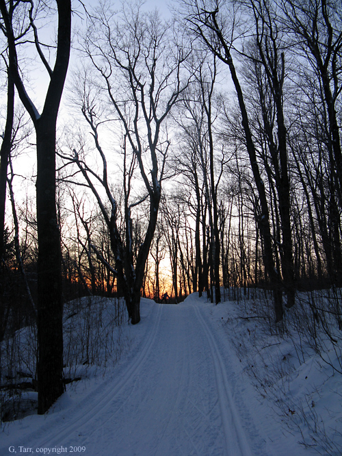 Pine Road near Lac Bourgois, at dusk