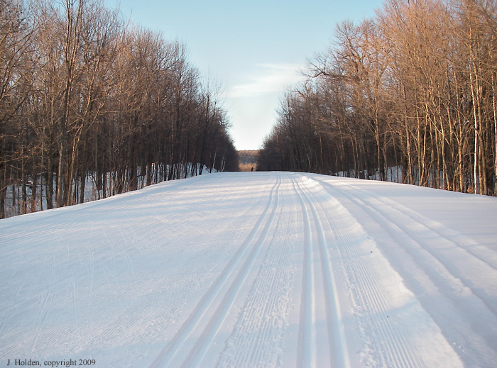Sunny spot on the Gatineau Parkway, Fortune Parkway