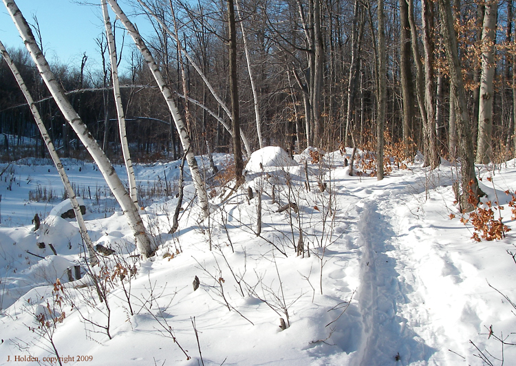 Side Trail