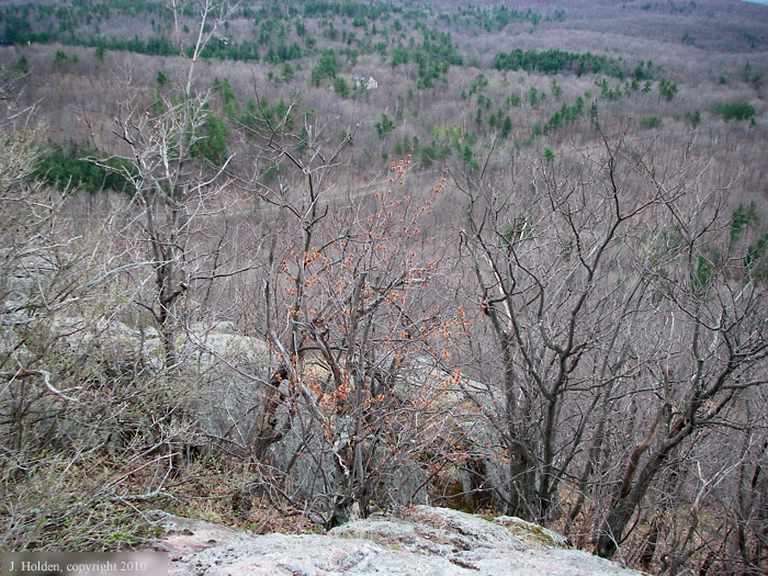 Kingsmere and the parkway seen from King Mountain