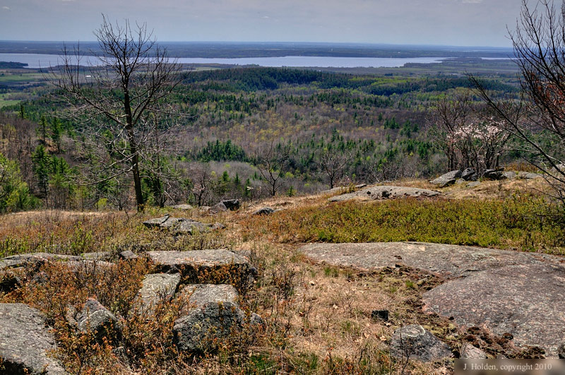 View from the escarpment