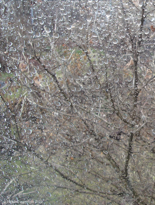 Rain on the Window