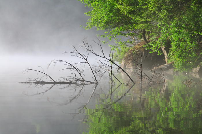 Early Morning Mist, Lac Champagneur