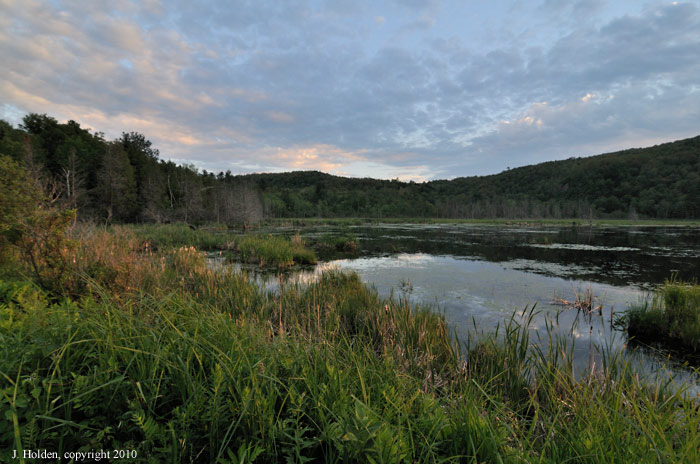Dusk at the Goose Pond, Gatineau Parkway