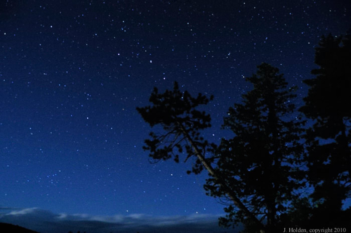Pines and  stars on Rock Lake