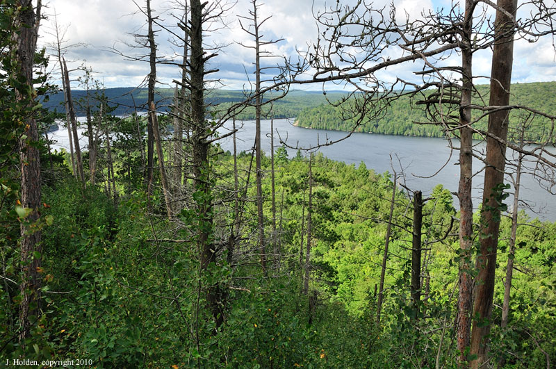 The view from Booth Rock