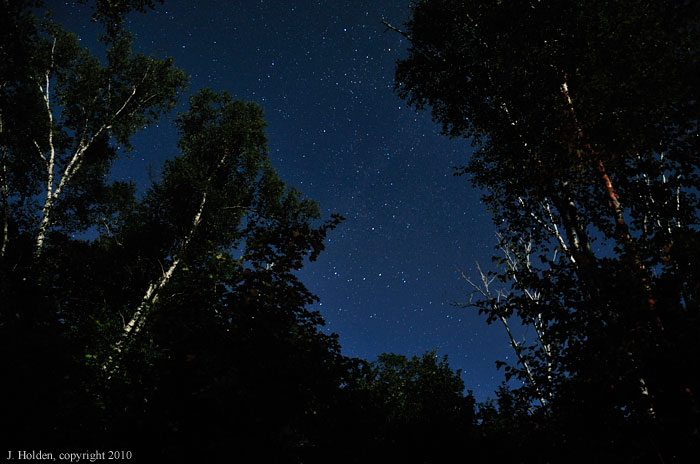 Ghostly birch trees in the moonlight, Welcome Lake