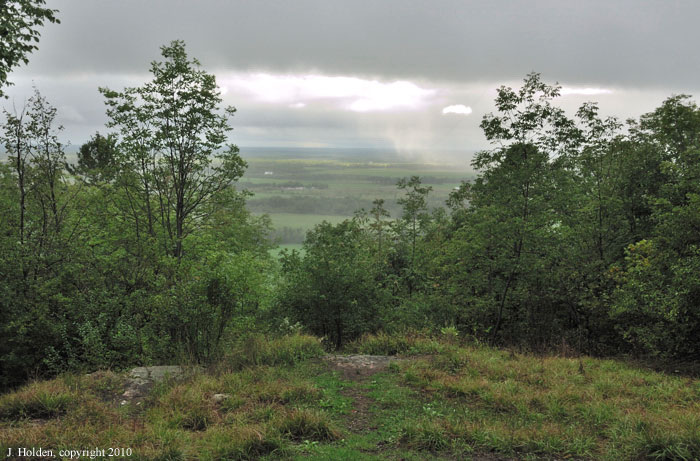 View from the Lauriault trail, Gatineau Park