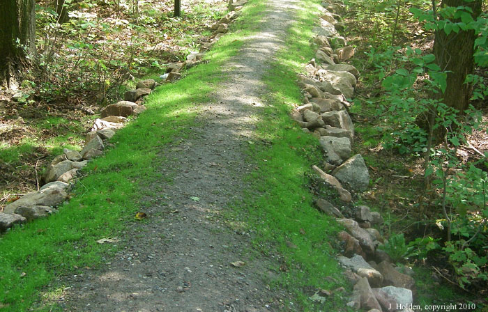 Convex section of Ridge Road, Gatineau Park