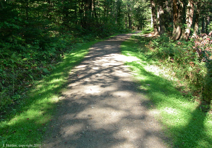 Convex section of Ridge Road2