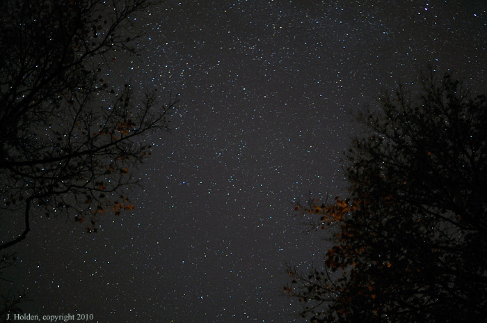 Stars and thinning trees></I>