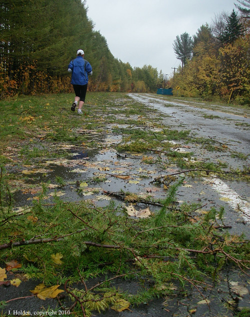After the storm, St. Isidore, Quebec