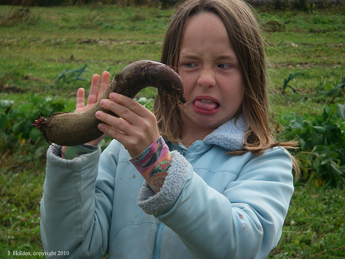 Evelyn with a grotesque beet, St. Isidore, Quebec