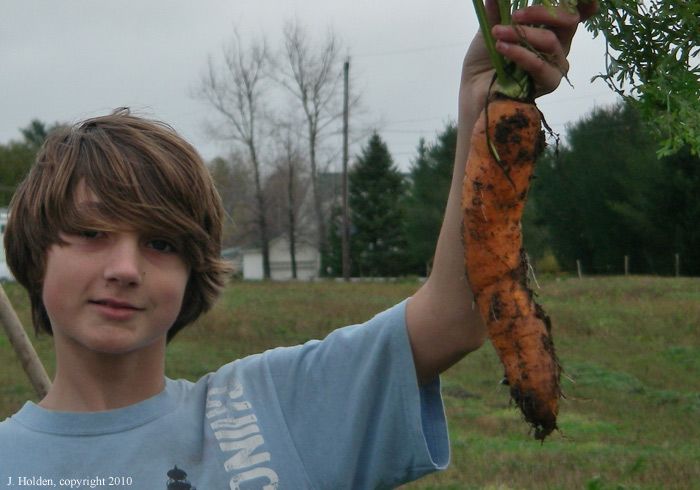 Christian and the carrot, St. Isidore, Quebec