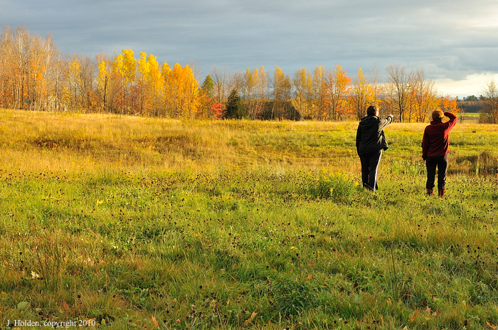 The golden hour, St. Isidore, Quebec
