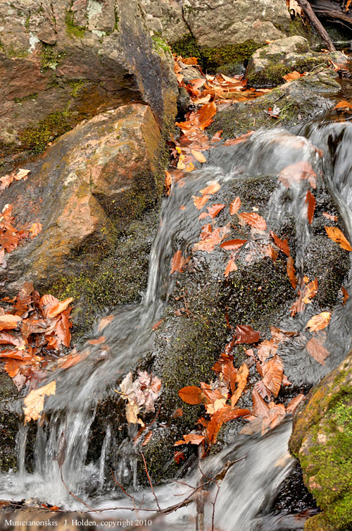 Small waterfall on the Wolf Trail, a photo from Friday