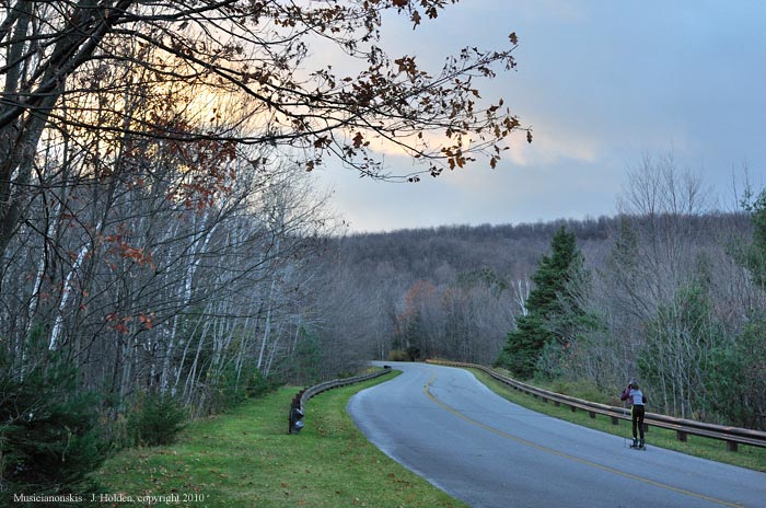 Roller Skier on the Gatineau Parkway