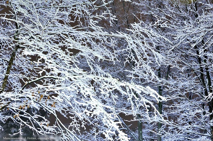 Wet Snow falling