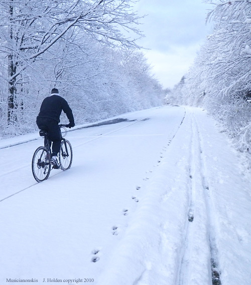Bicycle tracks, deer tracks, ski tracks, Gatineau Park