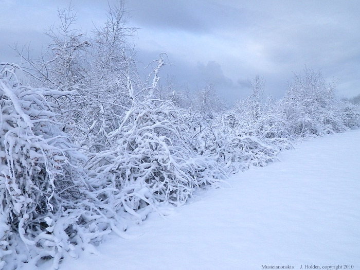 Snow on the upper Champlain Parkway, Gatineau Park