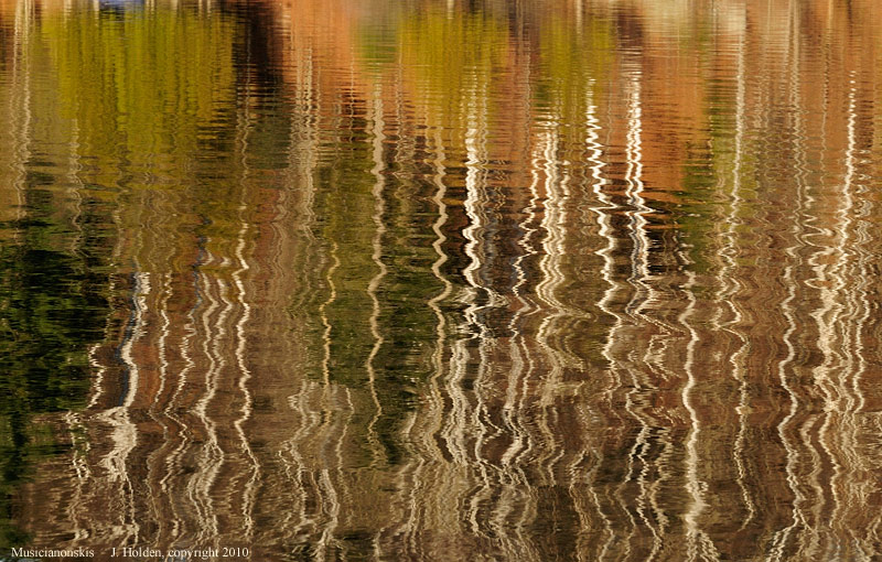 Reflections from a canoe