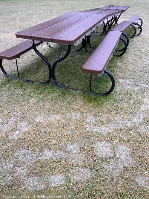 Freezing Rain