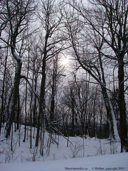Near Black Lake, Gatineau Park