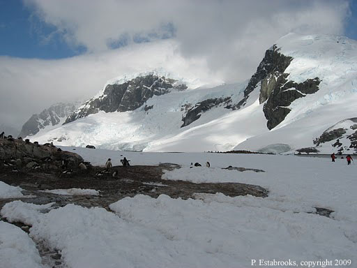 Penny_Antarctica3