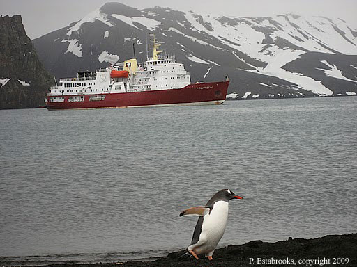 Penny_Antarctica4